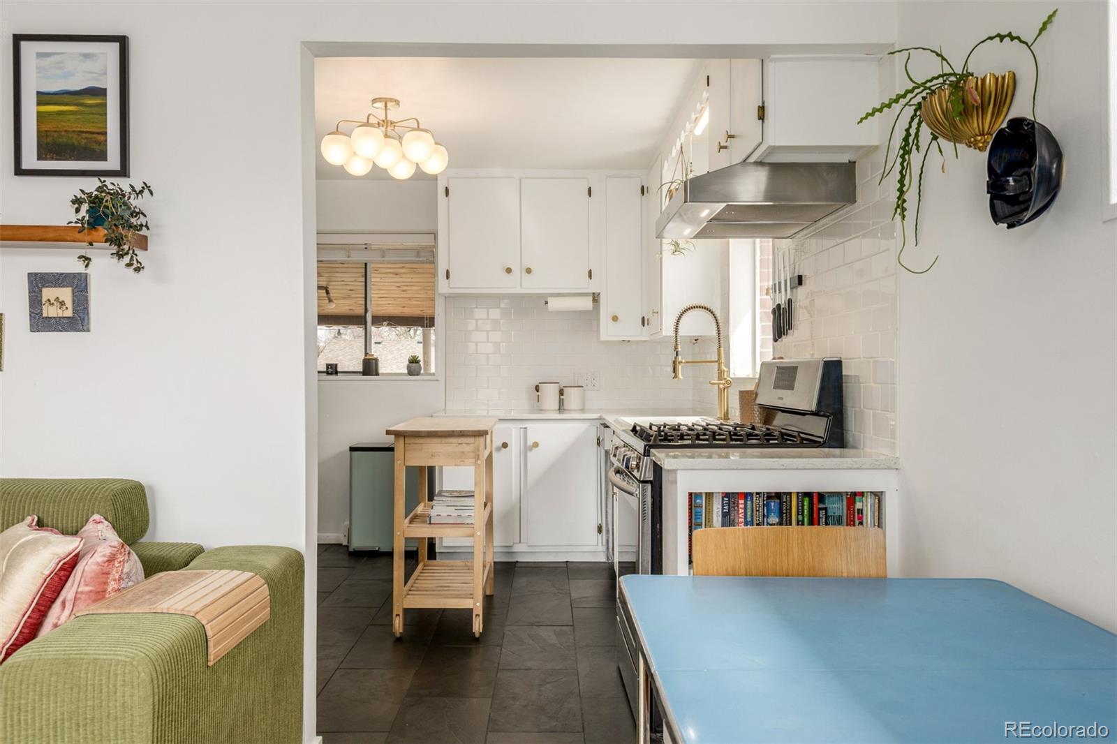MLS Image #3 for 7240  avrum drive,denver, Colorado