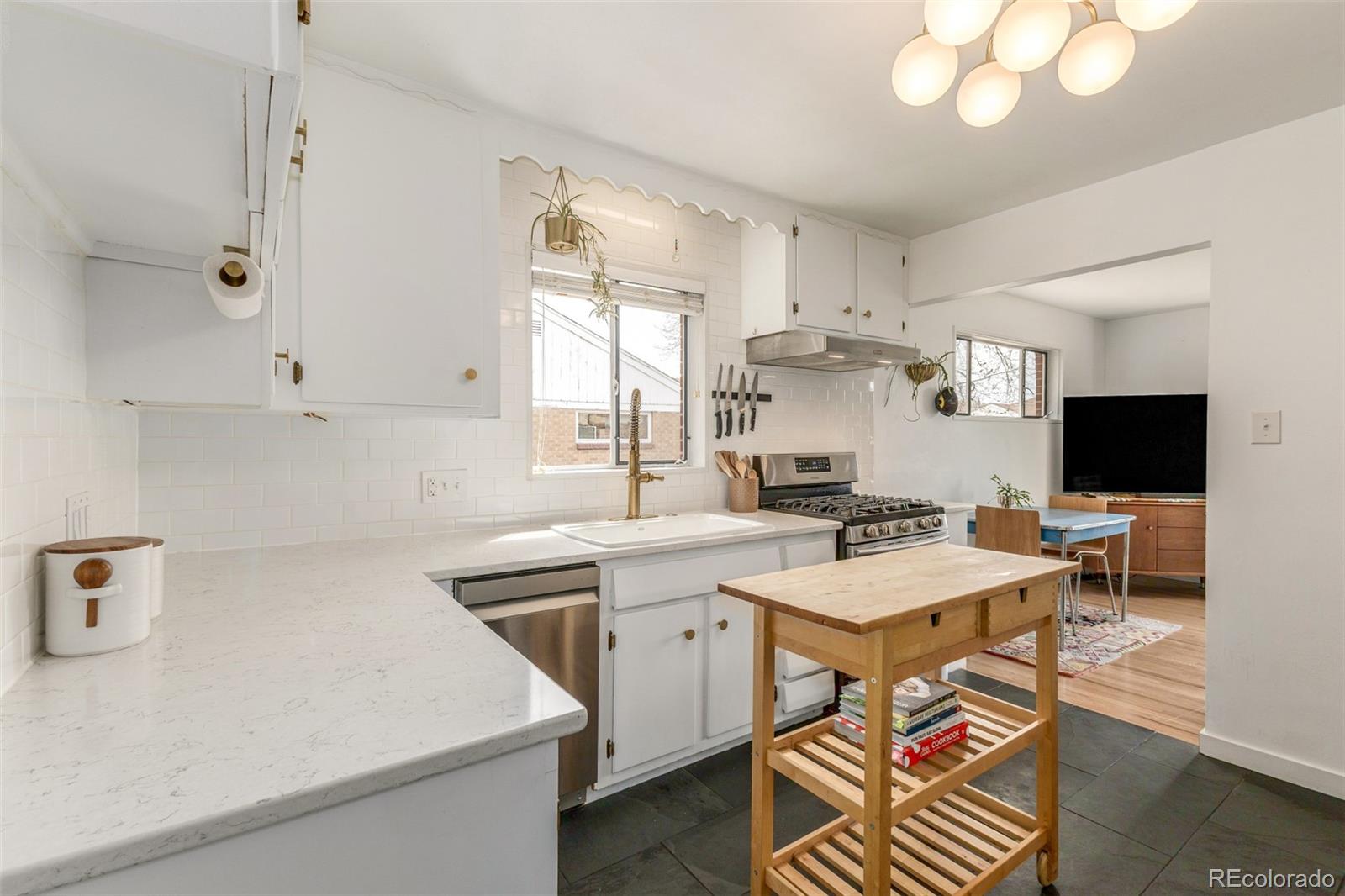 MLS Image #4 for 7240  avrum drive,denver, Colorado