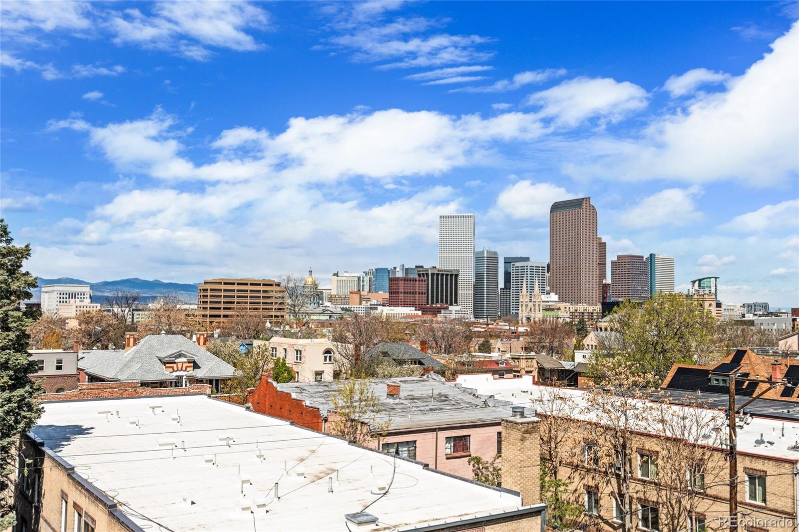 MLS Image #14 for 1233 n ogden street,denver, Colorado