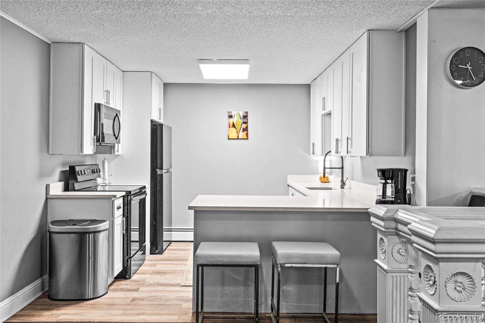 MLS Image #31 for 1233 n ogden street,denver, Colorado