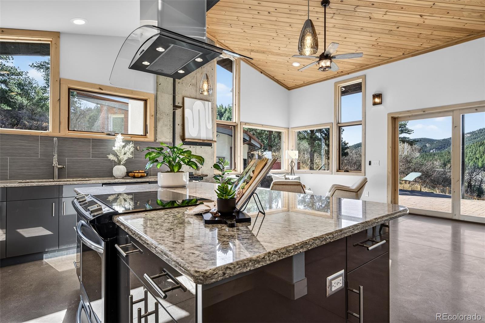 MLS Image #13 for 9362  jennings road,morrison, Colorado