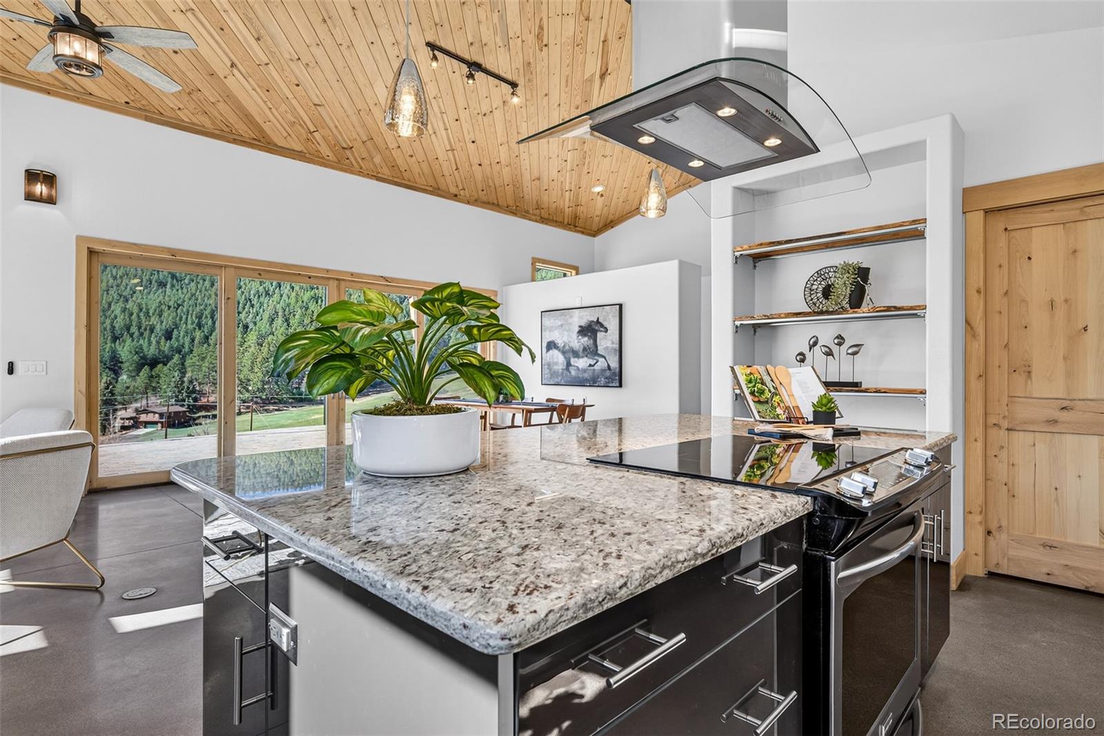 MLS Image #15 for 9362  jennings road,morrison, Colorado