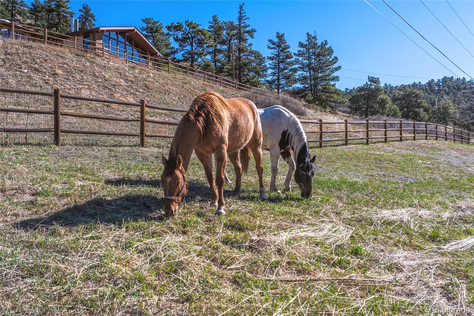 MLS Image #40 for 9362  jennings road,morrison, Colorado