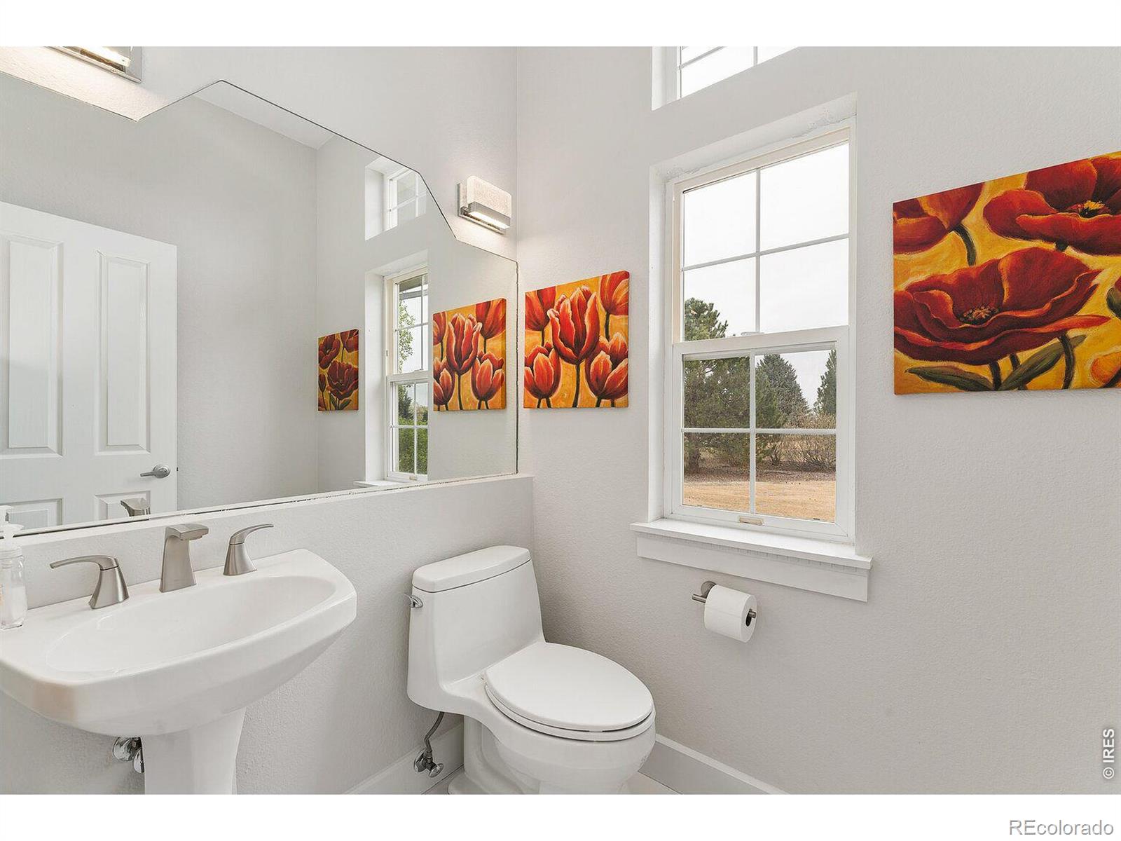 MLS Image #13 for 107  blue heron court,mead, Colorado