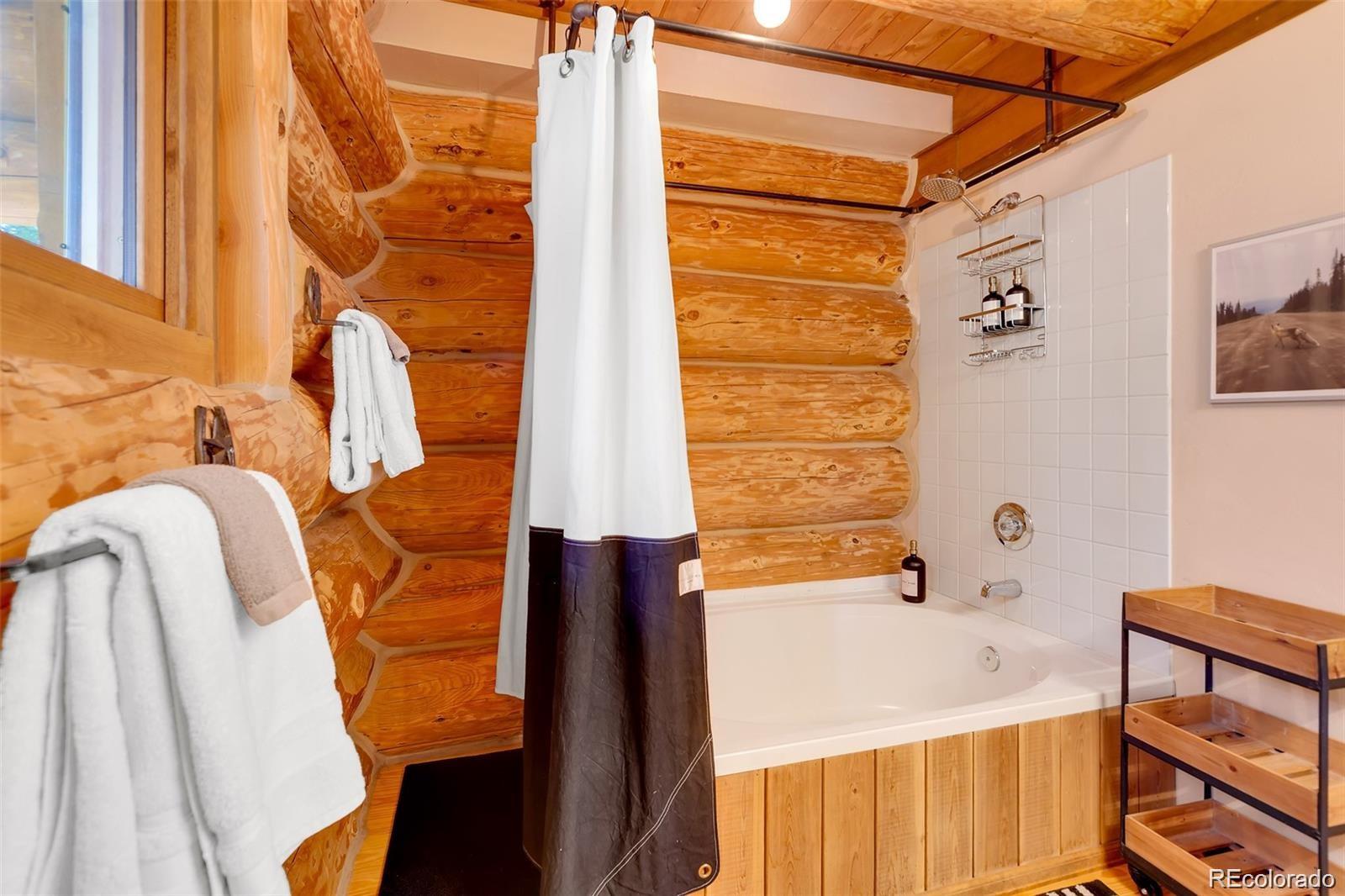 MLS Image #19 for 45  valley of the sun drive,fairplay, Colorado