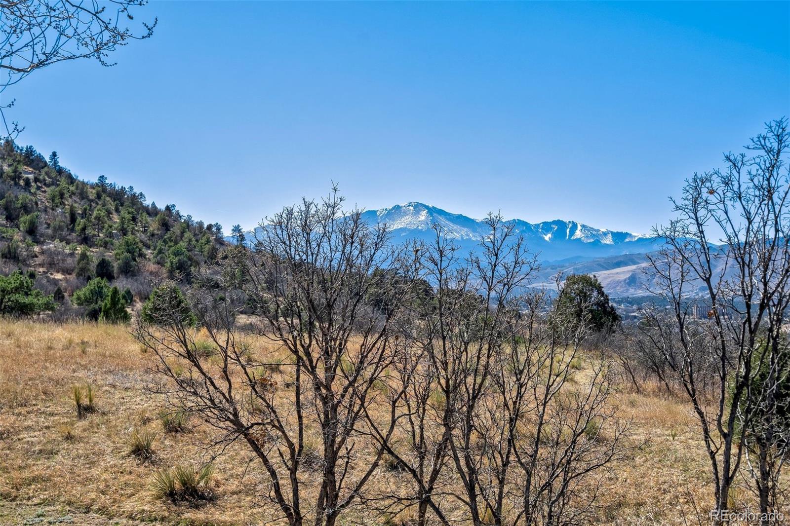 MLS Image #4 for 6140  canyon springs ,colorado springs, Colorado