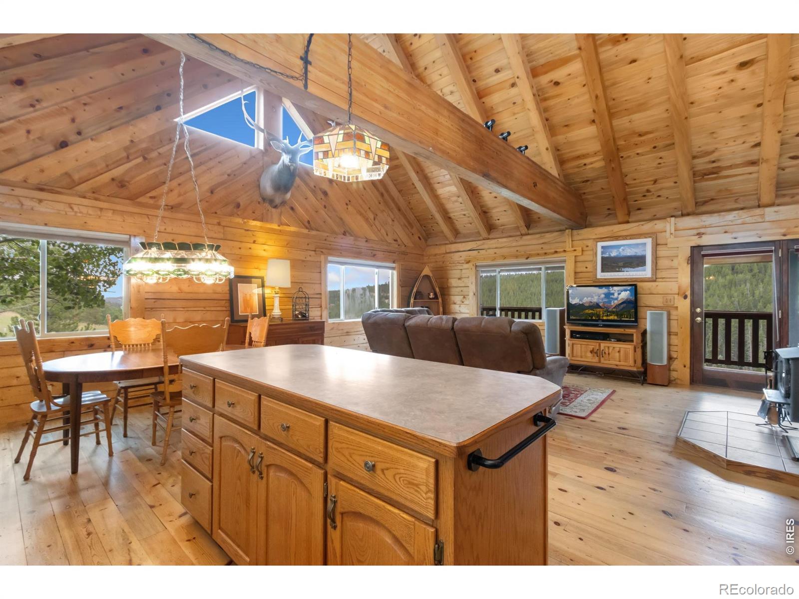 MLS Image #16 for 3706  ottawa way,red feather lakes, Colorado