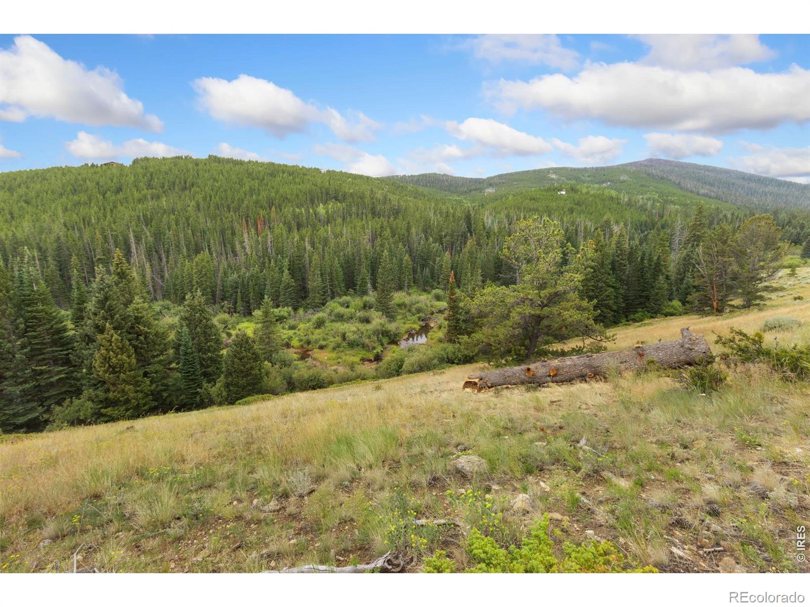 MLS Image #31 for 3706  ottawa way,red feather lakes, Colorado