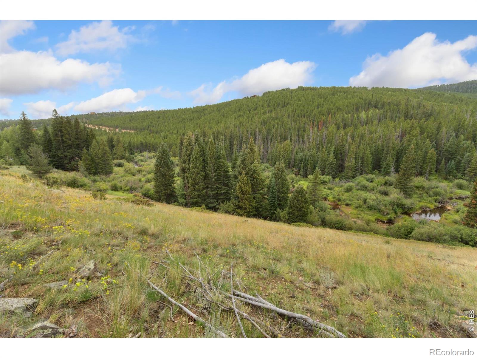 MLS Image #32 for 3706  ottawa way,red feather lakes, Colorado