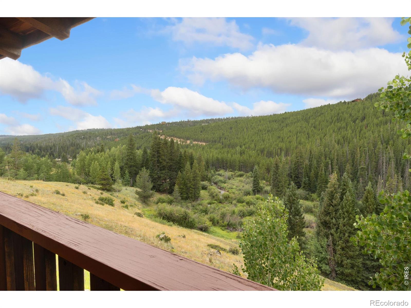 MLS Image #33 for 3706  ottawa way,red feather lakes, Colorado