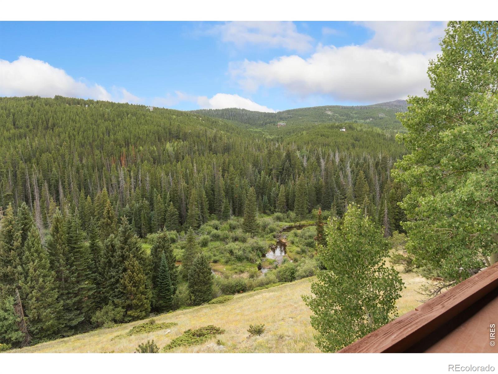 MLS Image #34 for 3706  ottawa way,red feather lakes, Colorado