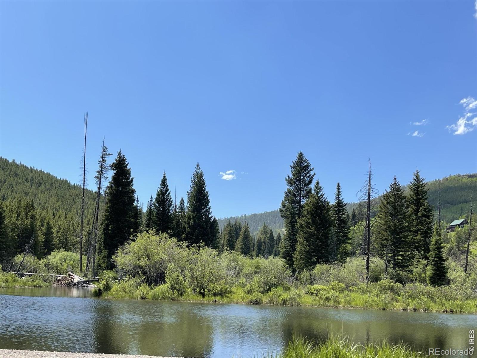 MLS Image #43 for 3706  ottawa way,red feather lakes, Colorado