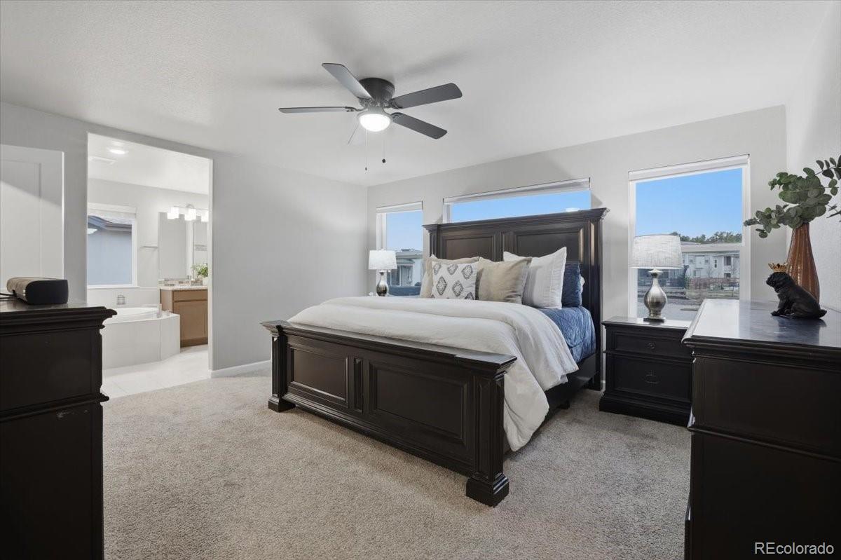MLS Image #7 for 6386  mondrian way,colorado springs, Colorado