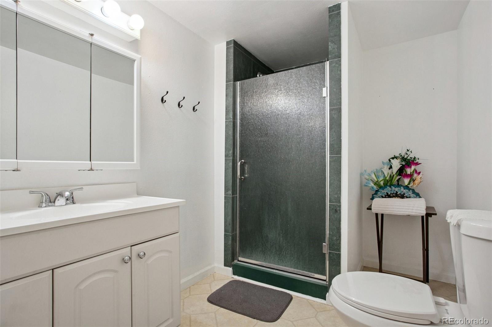 MLS Image #19 for 2454  tulip street,longmont, Colorado