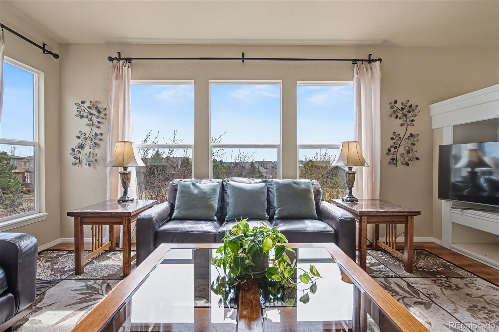 MLS Image #5 for 9003  stony creek drive,colorado springs, Colorado