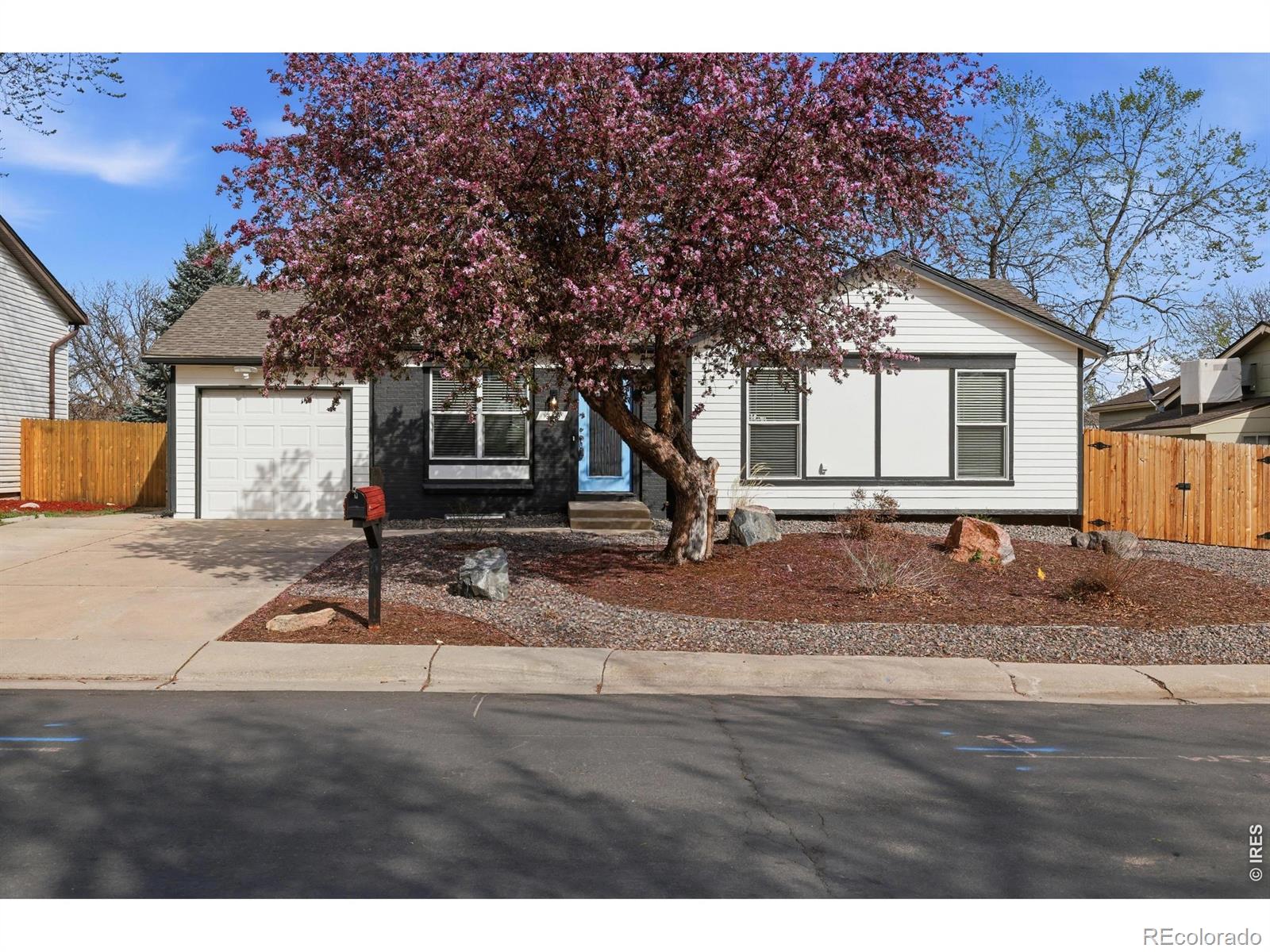 MLS Image #0 for 1346  dexter street,broomfield, Colorado
