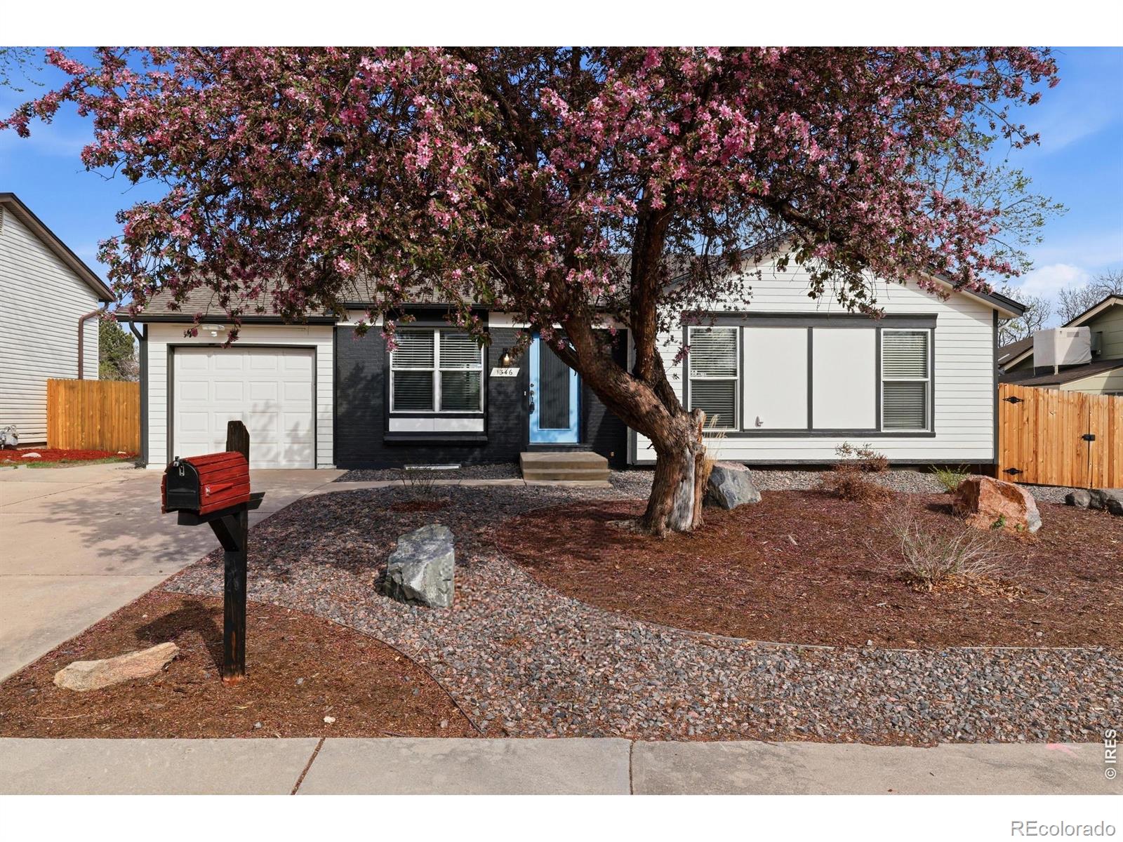 MLS Image #1 for 1346  dexter street,broomfield, Colorado