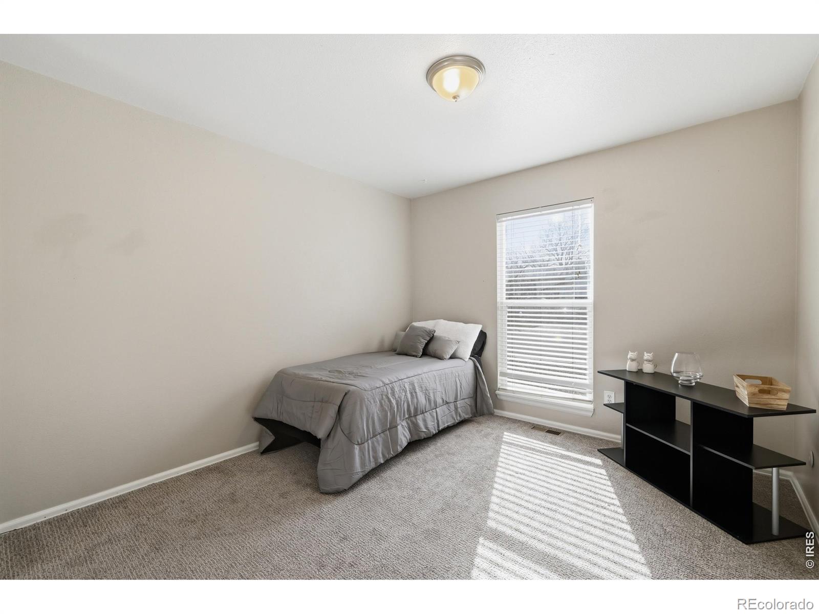 MLS Image #12 for 1346  dexter street,broomfield, Colorado