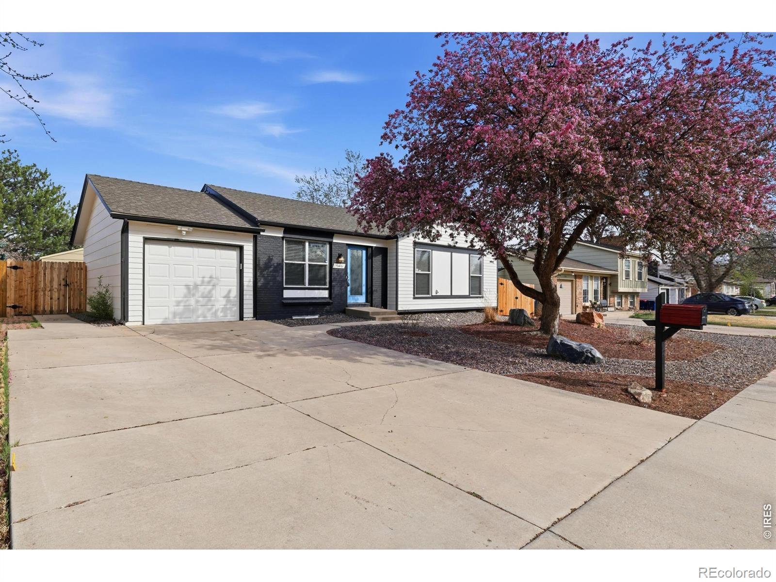 MLS Image #3 for 1346  dexter street,broomfield, Colorado