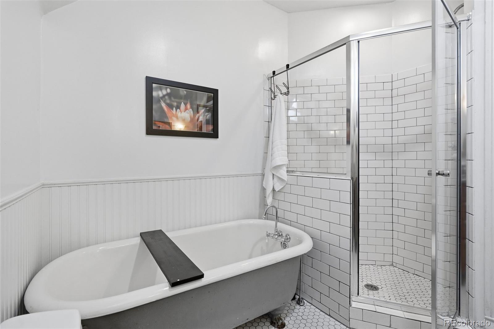 MLS Image #30 for 1624  vine street,denver, Colorado