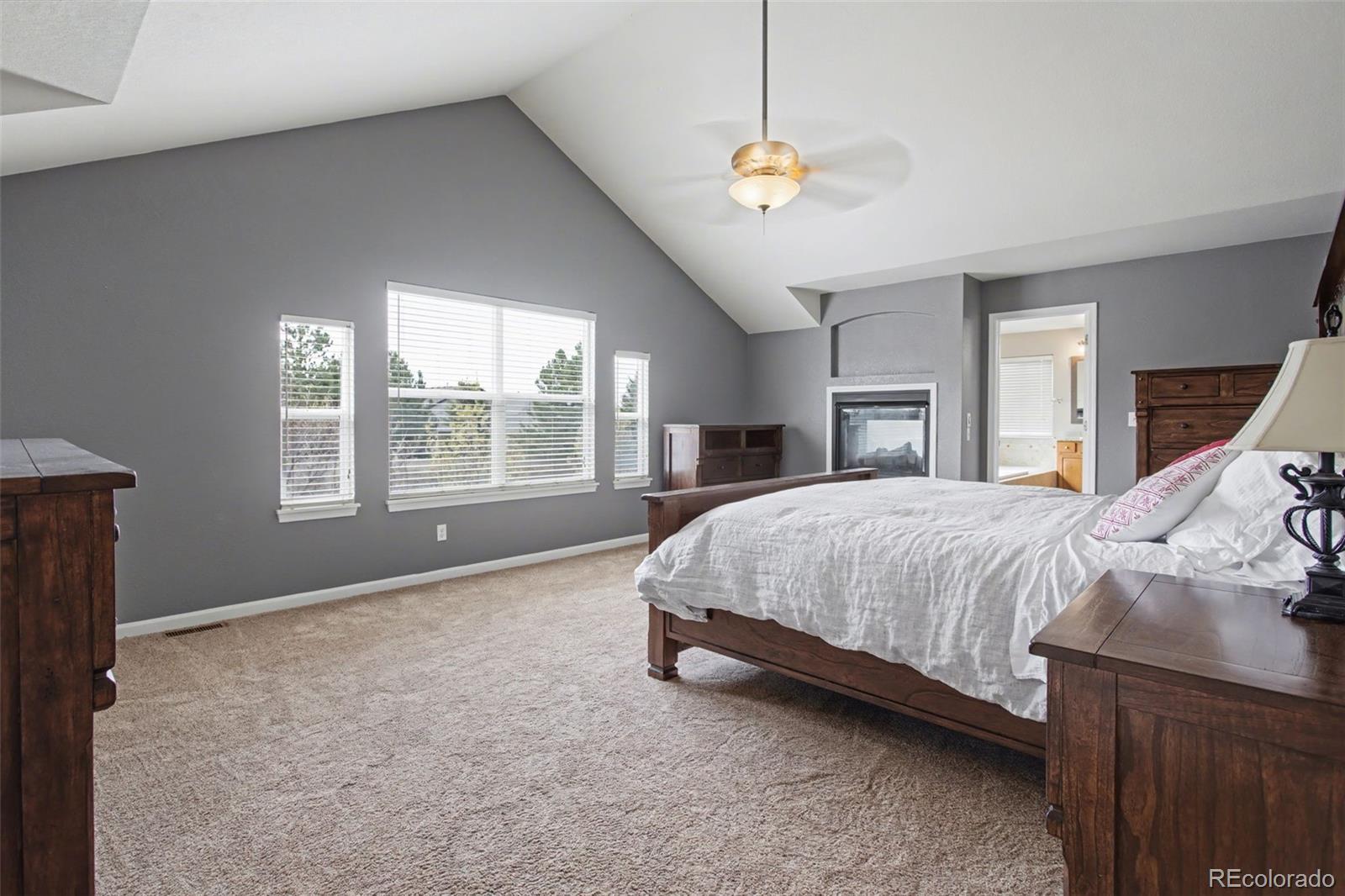 MLS Image #20 for 23162  briar leaf avenue,parker, Colorado