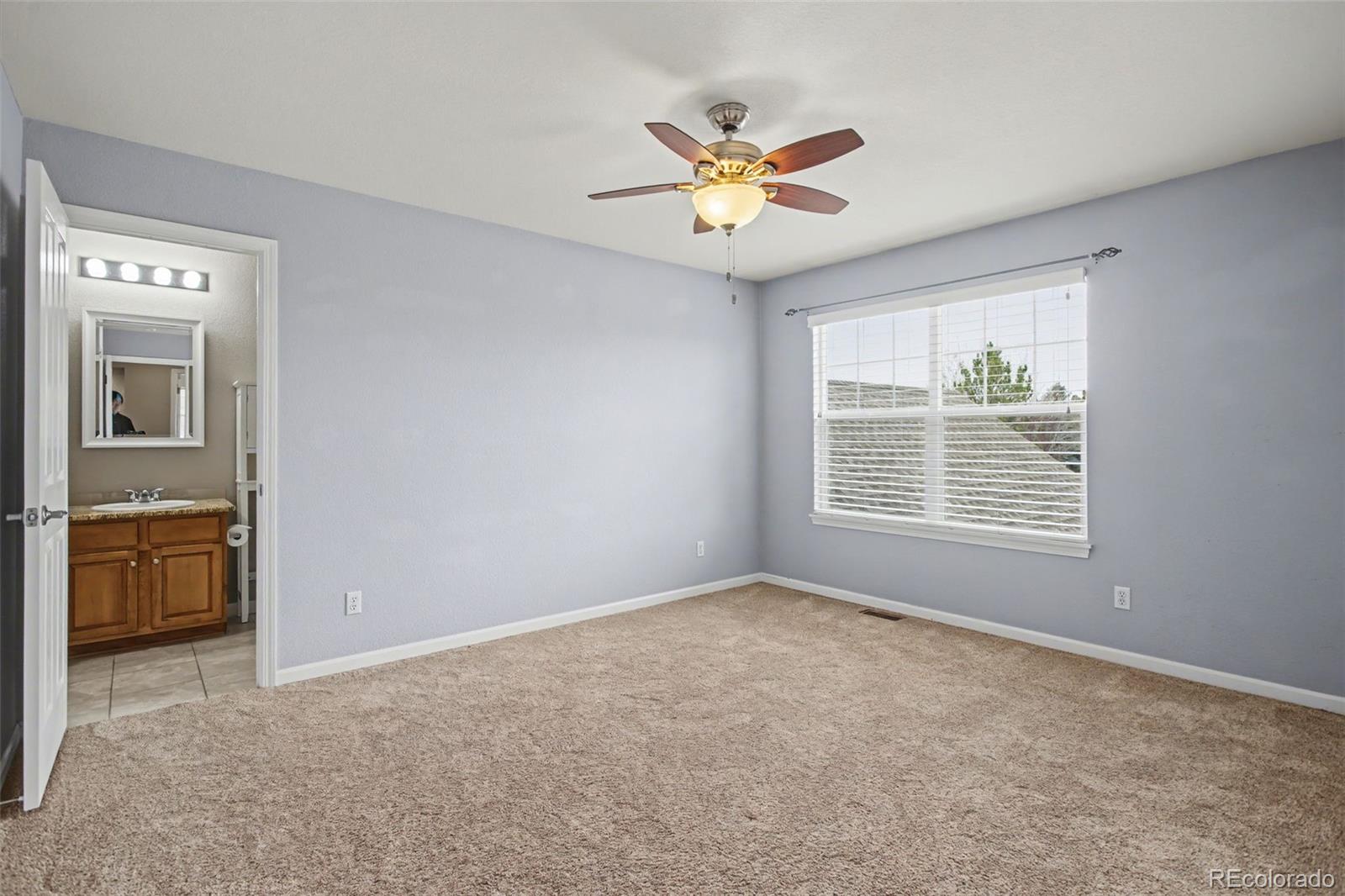 MLS Image #29 for 23162  briar leaf avenue,parker, Colorado