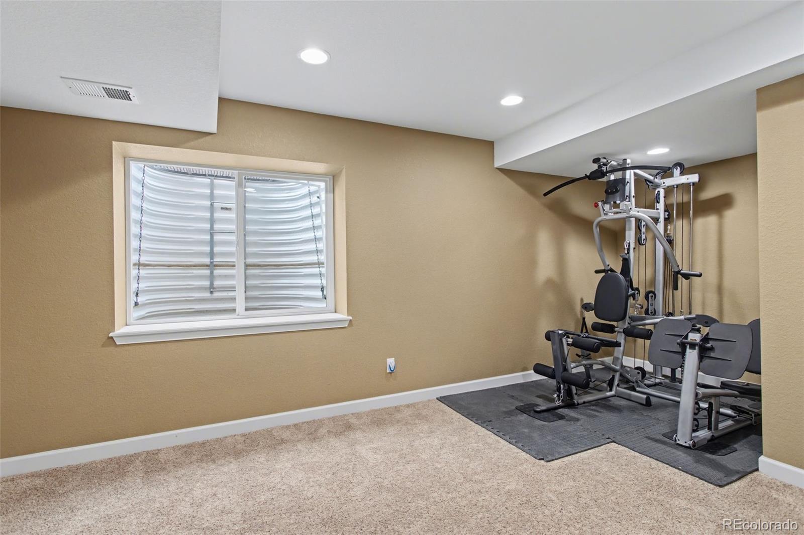 MLS Image #41 for 23162  briar leaf avenue,parker, Colorado
