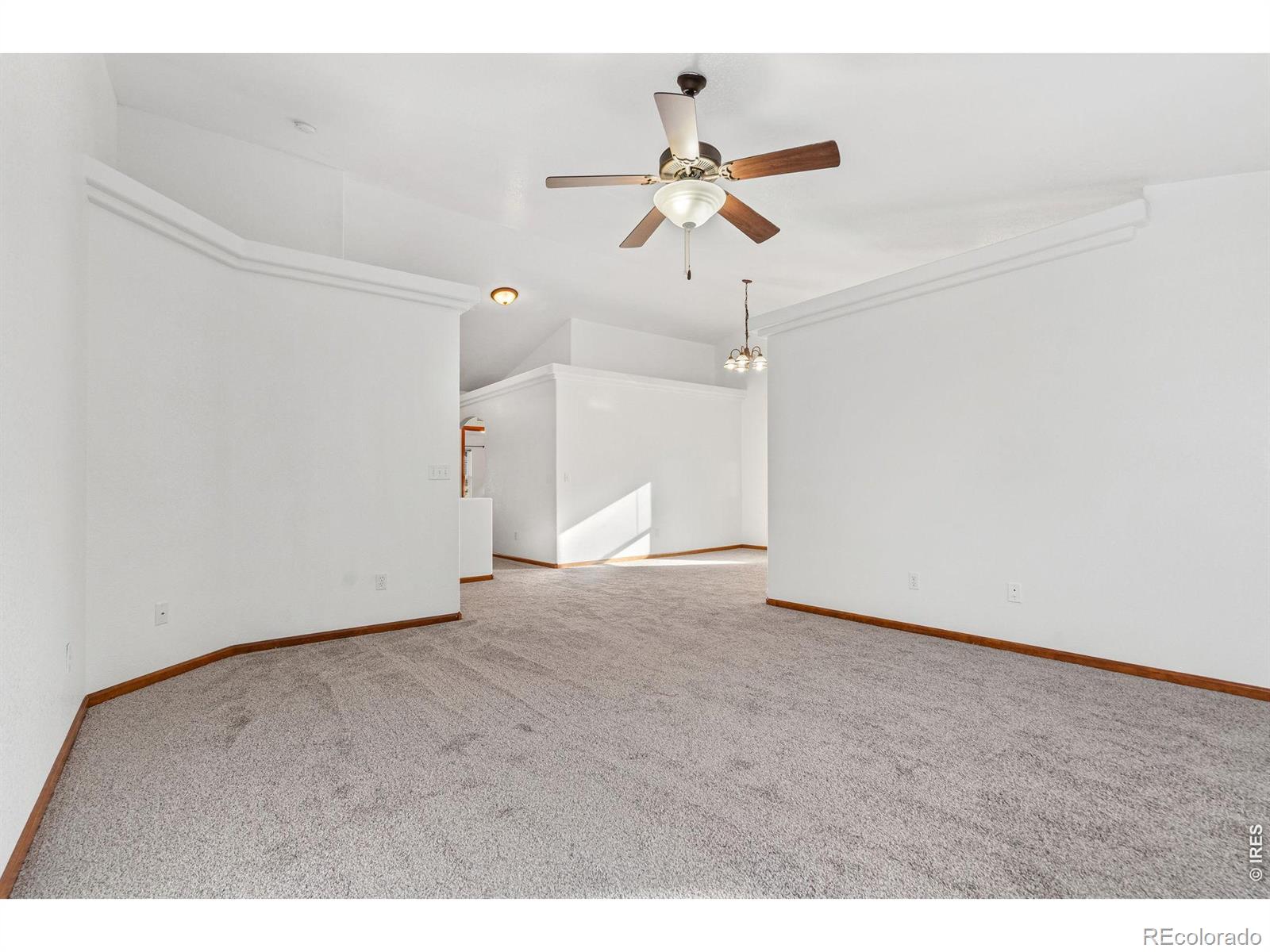 MLS Image #14 for 2239  muir lane,fort collins, Colorado