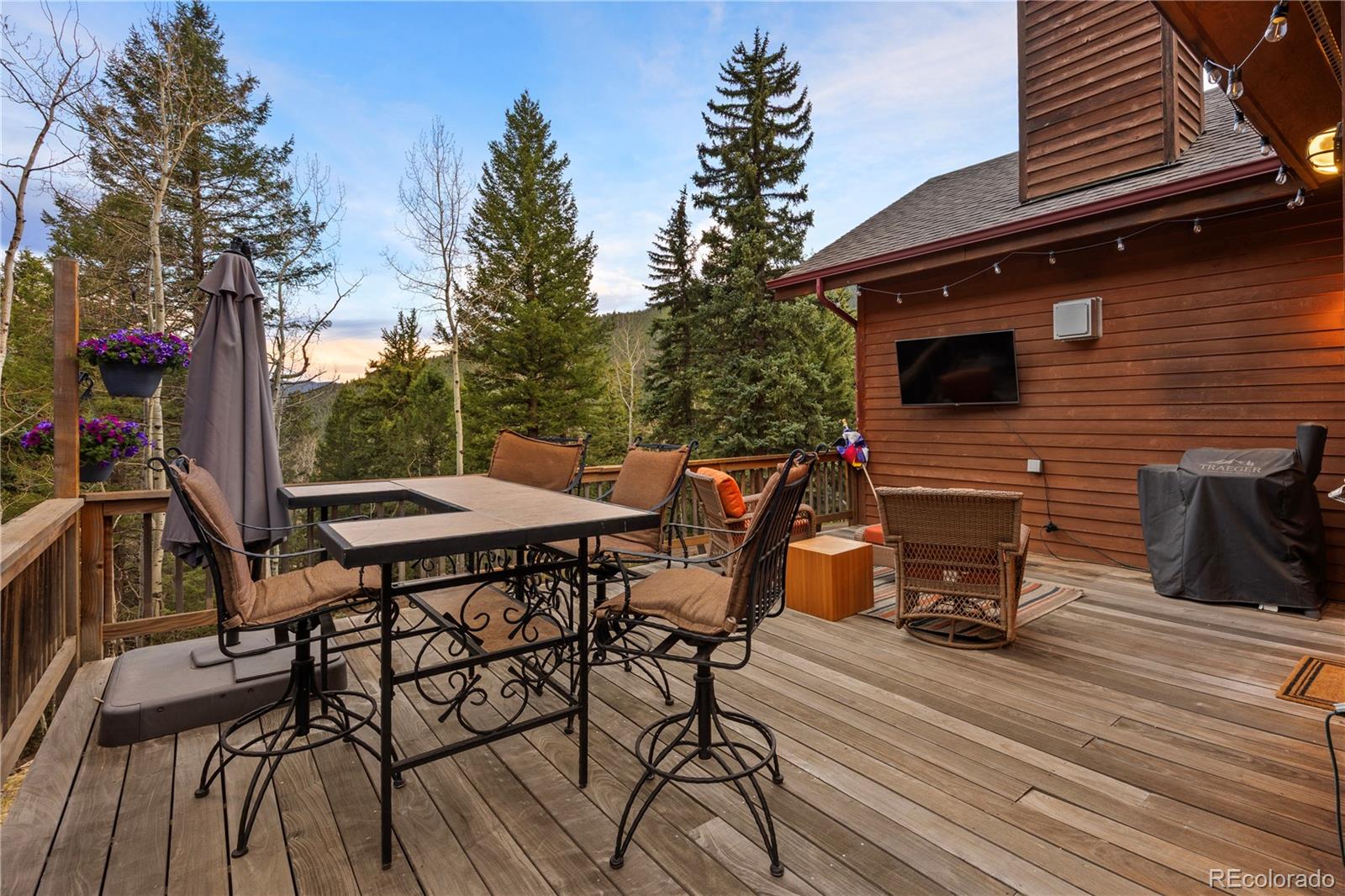 MLS Image #12 for 385  snyder mountain road,evergreen, Colorado