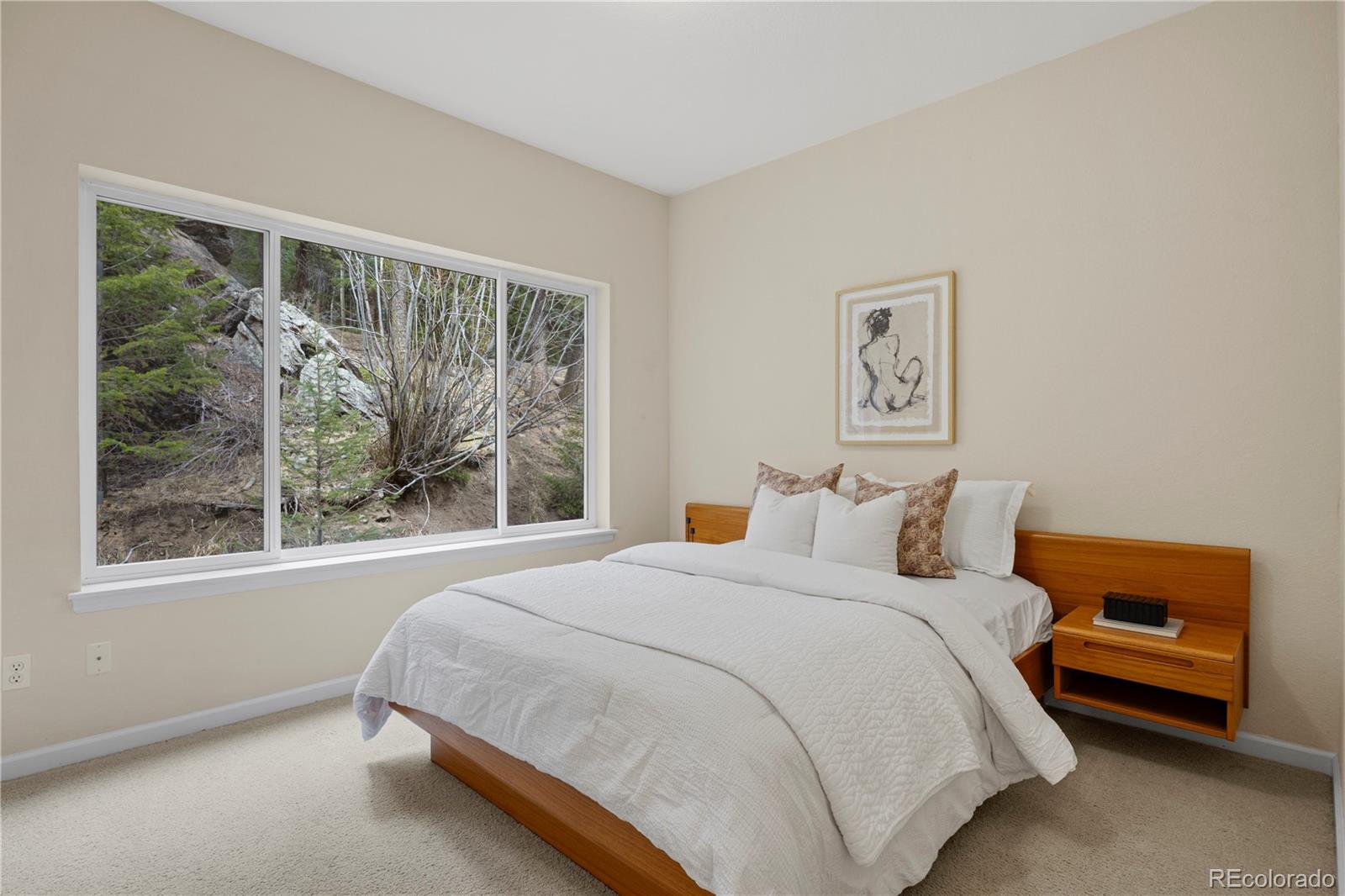 MLS Image #13 for 385  snyder mountain road,evergreen, Colorado