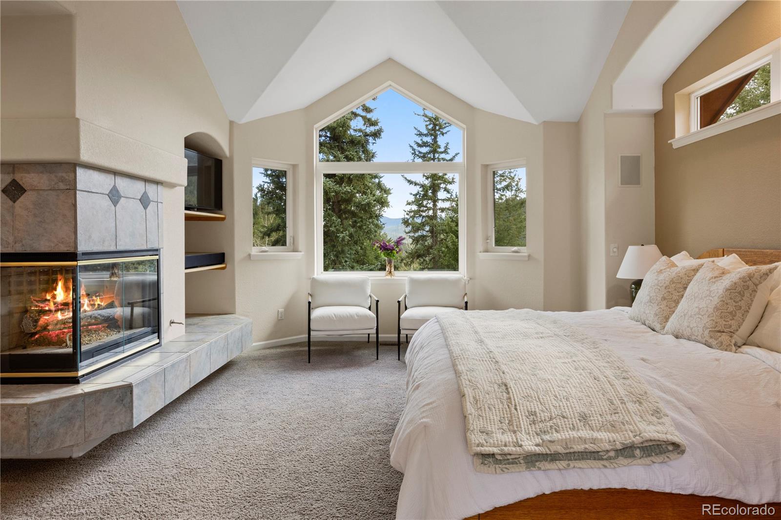 MLS Image #16 for 385  snyder mountain road,evergreen, Colorado