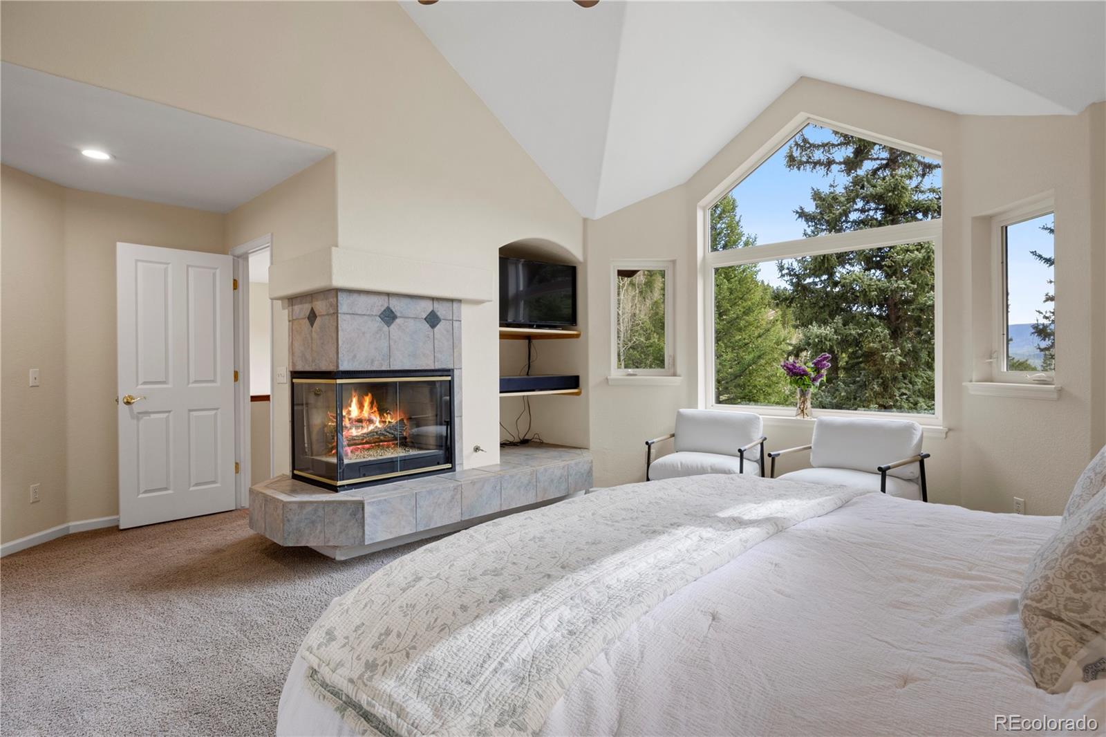 MLS Image #17 for 385  snyder mountain road,evergreen, Colorado