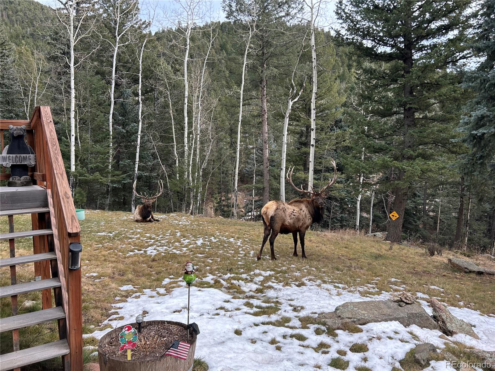 MLS Image #32 for 385  snyder mountain road,evergreen, Colorado