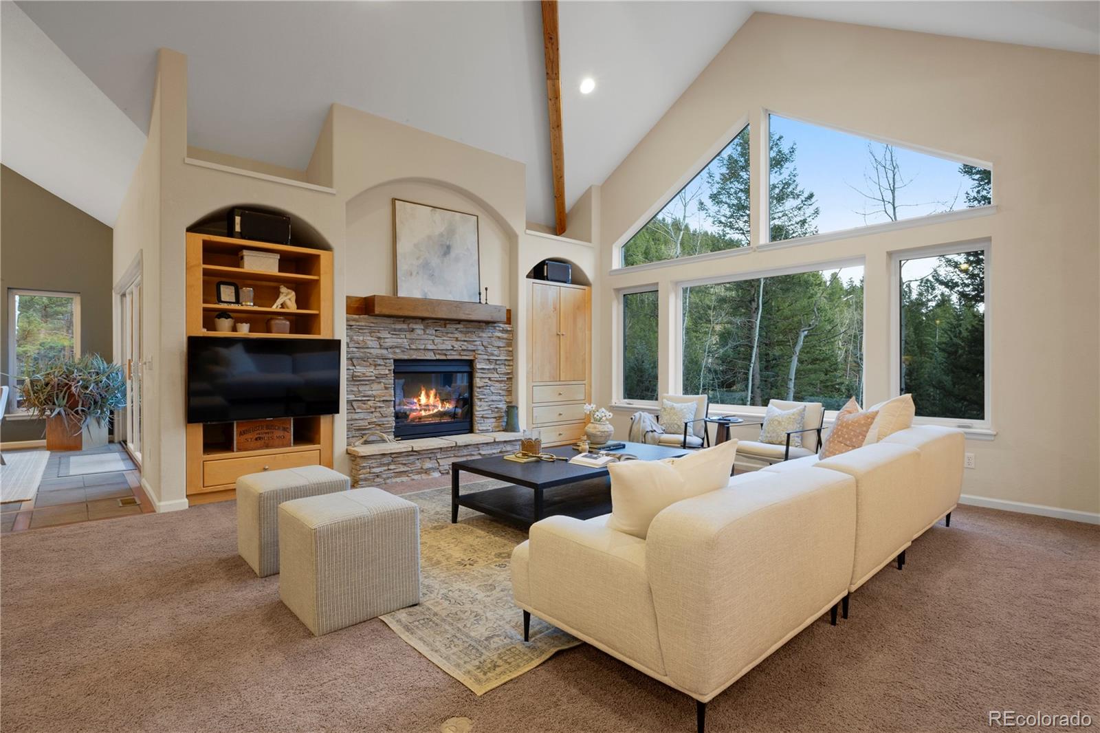 MLS Image #42 for 385  snyder mountain road,evergreen, Colorado