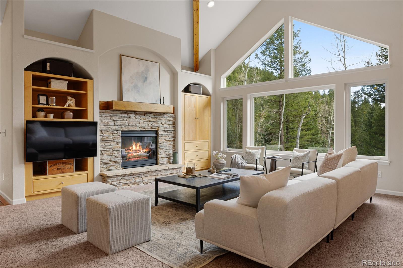 MLS Image #5 for 385  snyder mountain road,evergreen, Colorado