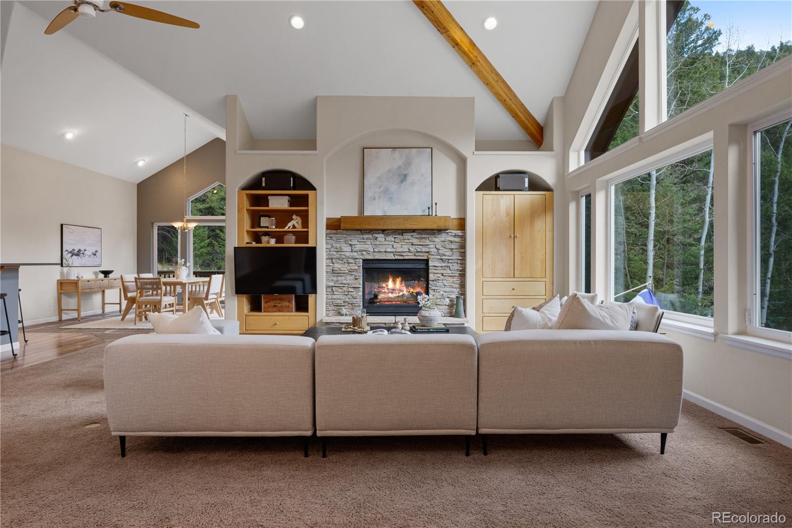 MLS Image #6 for 385  snyder mountain road,evergreen, Colorado