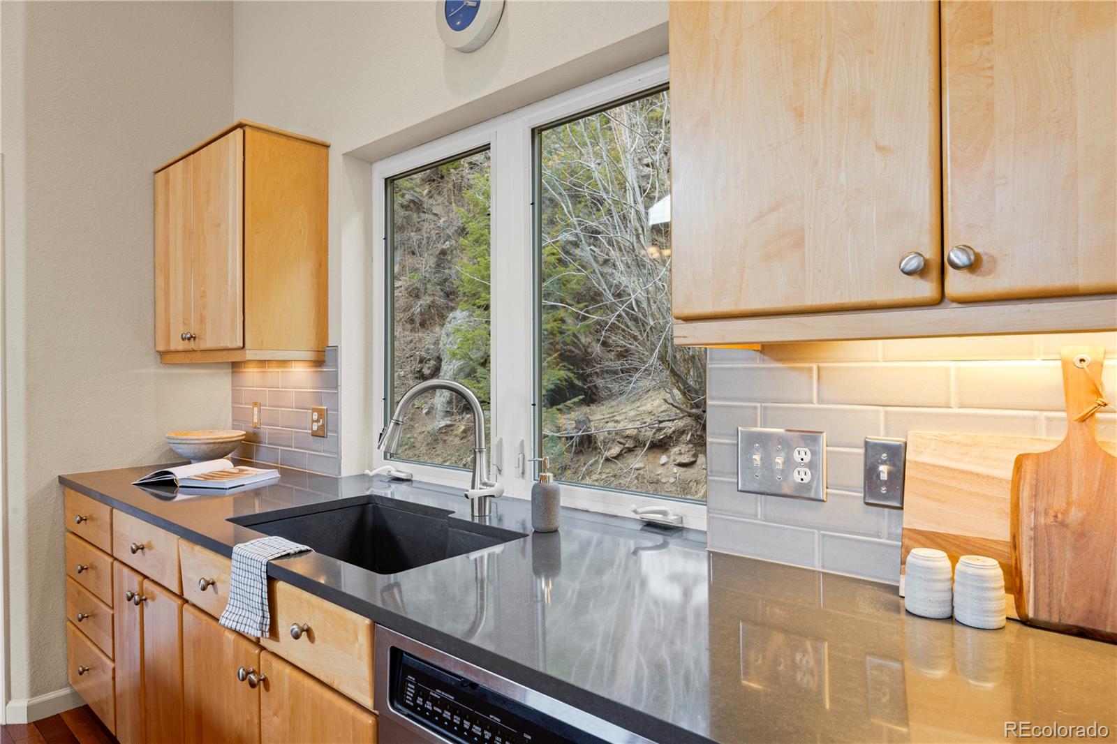 MLS Image #8 for 385  snyder mountain road,evergreen, Colorado