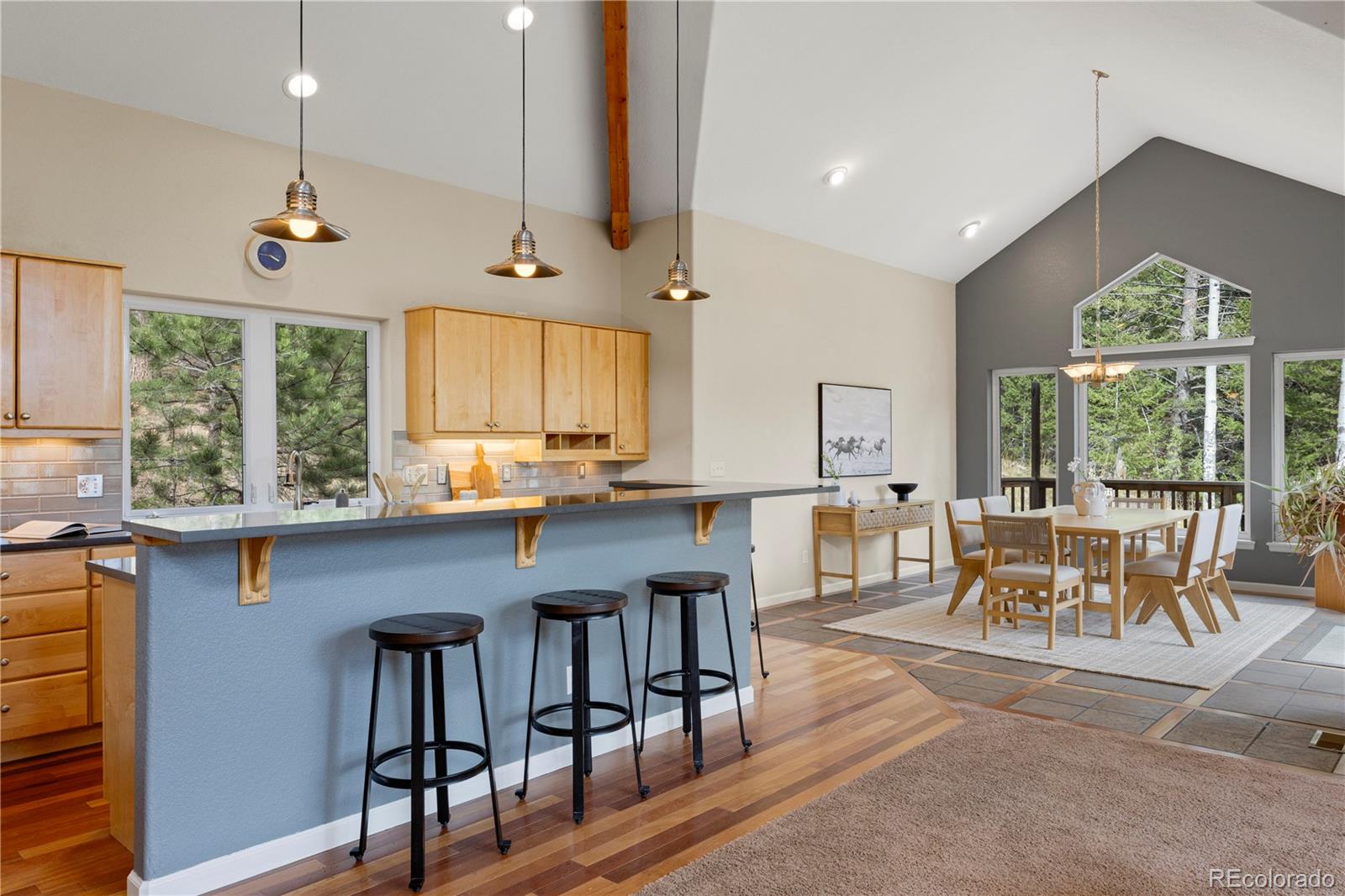 MLS Image #9 for 385  snyder mountain road,evergreen, Colorado