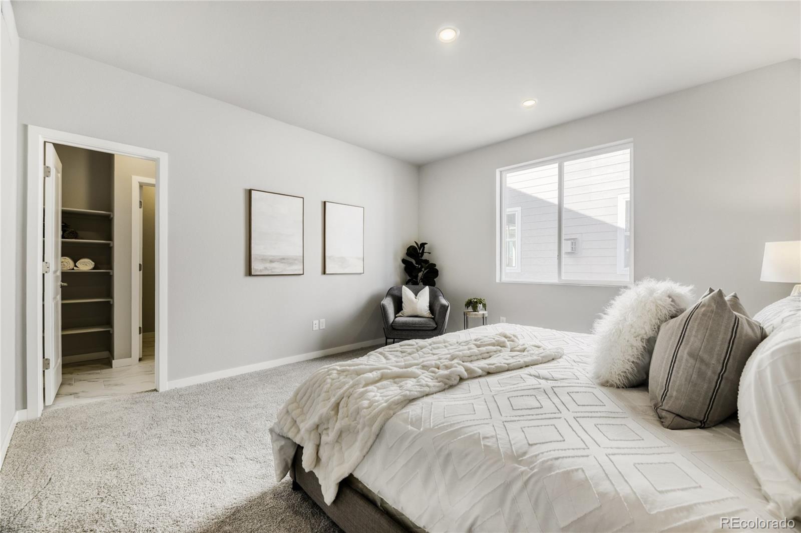 MLS Image #14 for 13763  daffodil way,parker, Colorado