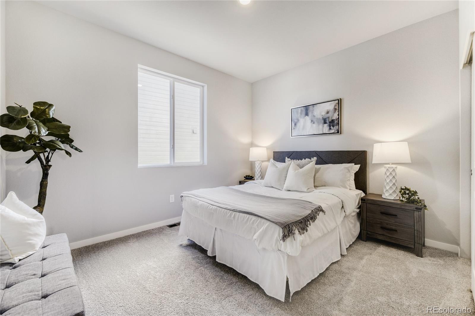MLS Image #18 for 13763  daffodil way,parker, Colorado