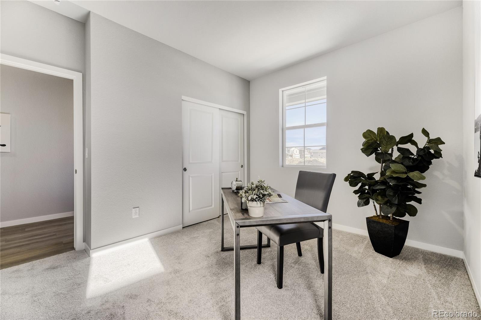 MLS Image #21 for 13763  daffodil way,parker, Colorado