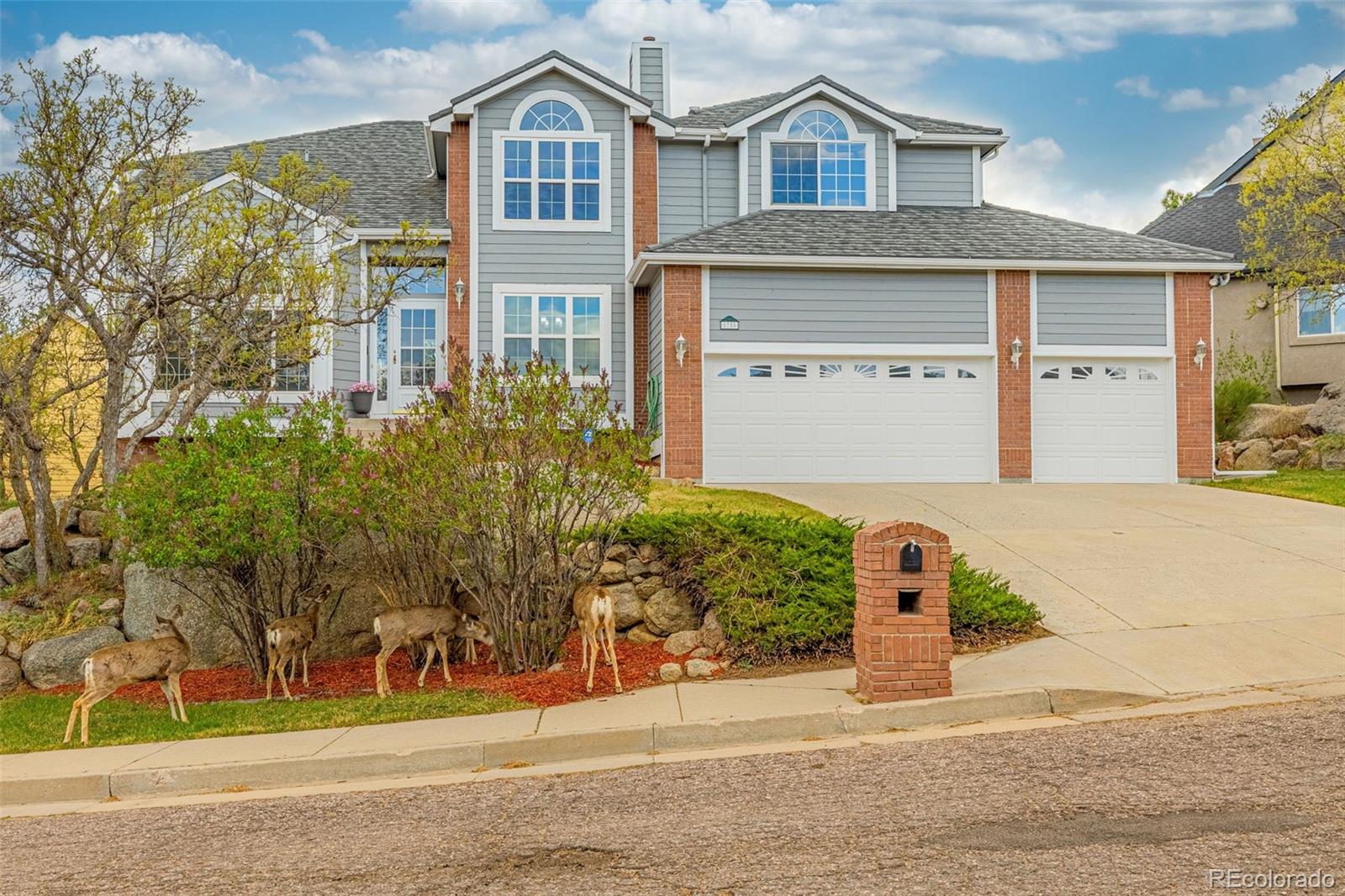 MLS Image #42 for 5750  daltry lane,colorado springs, Colorado