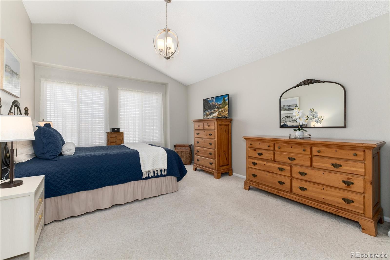 MLS Image #20 for 3048  deer creek trail,highlands ranch, Colorado