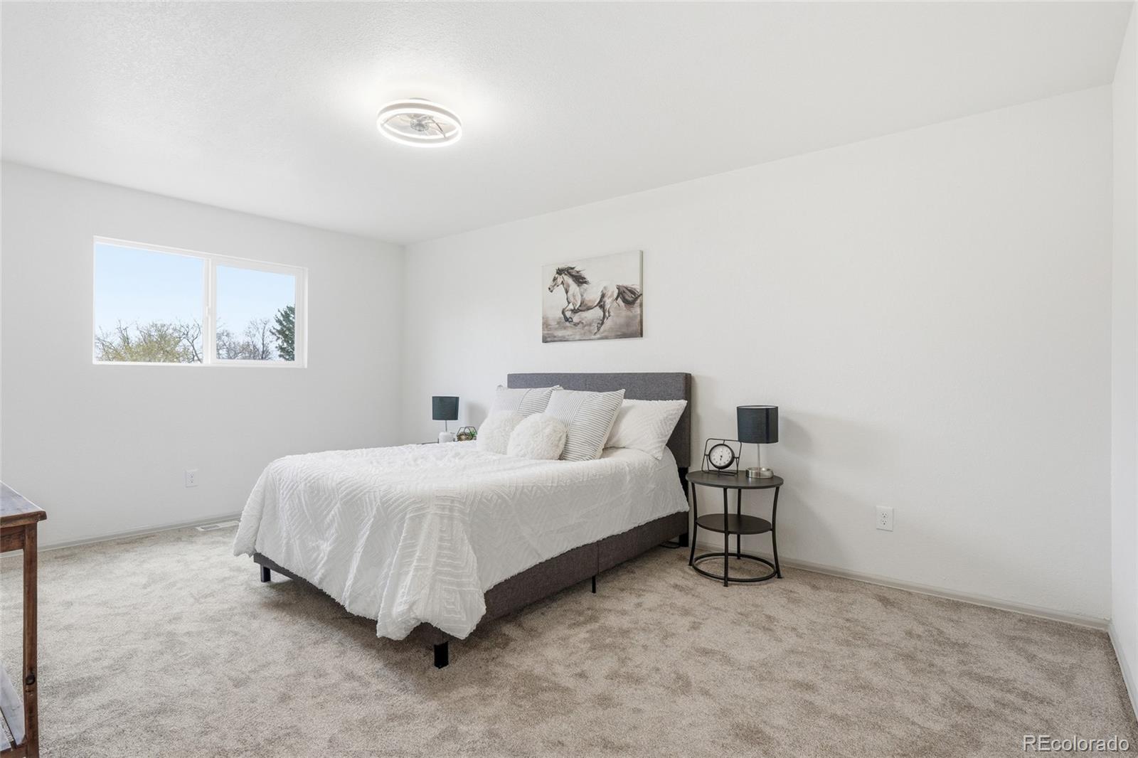 MLS Image #8 for 4358 s alkire street,morrison, Colorado