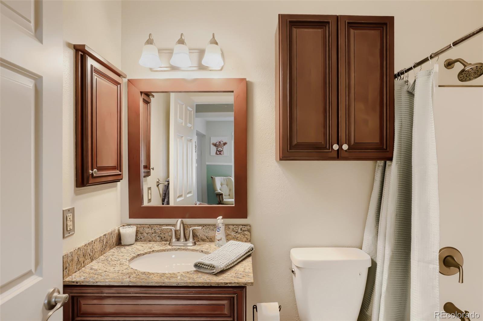 MLS Image #21 for 10021  moore street,broomfield, Colorado