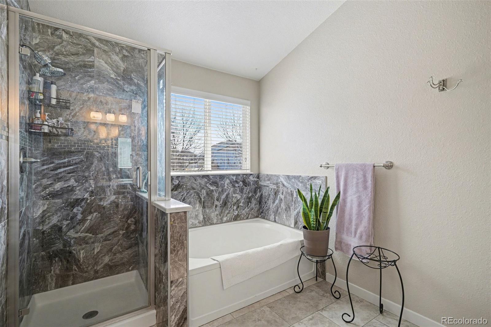 MLS Image #23 for 4691  whimbrel drive,littleton, Colorado