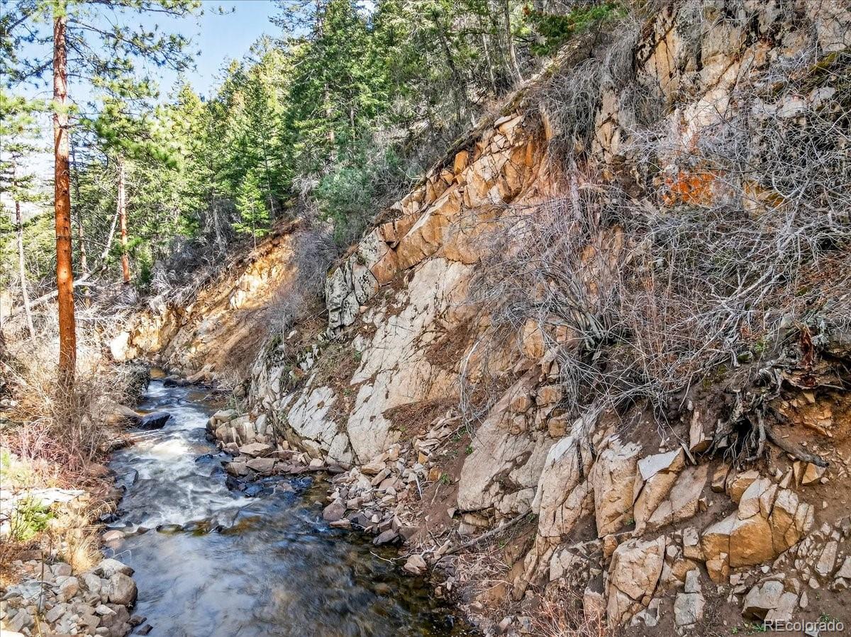 MLS Image #11 for 600  county road 102j ,jamestown, Colorado