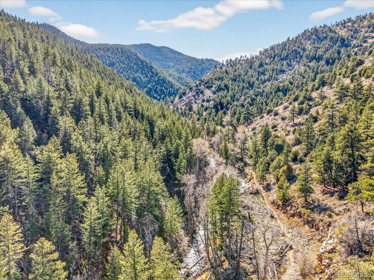 MLS Image #12 for 600  county road 102j ,jamestown, Colorado