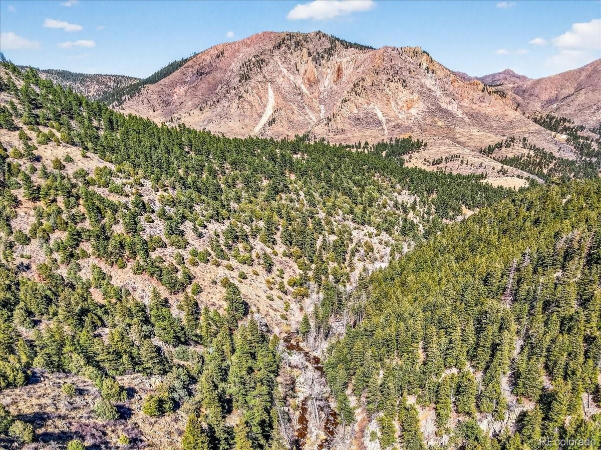 MLS Image #13 for 600  county road 102j ,jamestown, Colorado