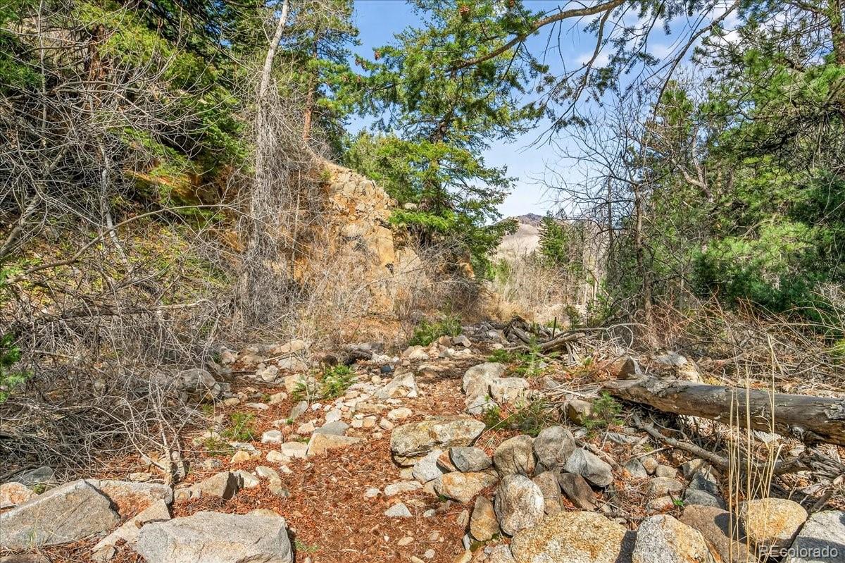 MLS Image #17 for 600  county road 102j ,jamestown, Colorado